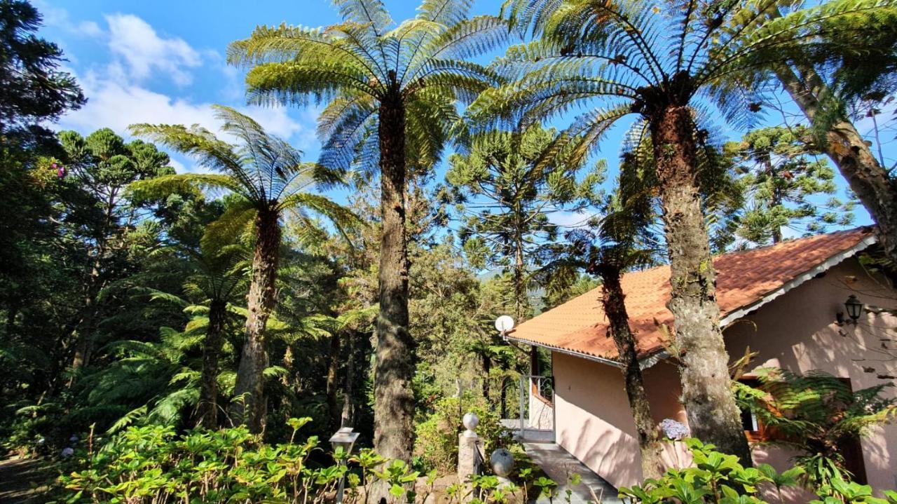 Hotel Pousada Ricanto Amore Mio Monte Verde  Zewnętrze zdjęcie